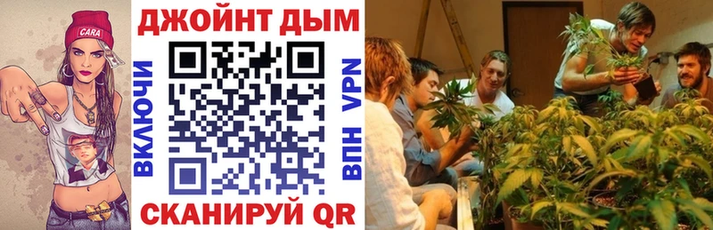 Шишки марихуана OG Kush  даркнет наркотические препараты  Отрадное  купить наркотик 